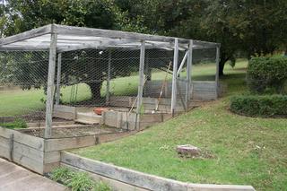 Vegetable garden (2010-06-12)