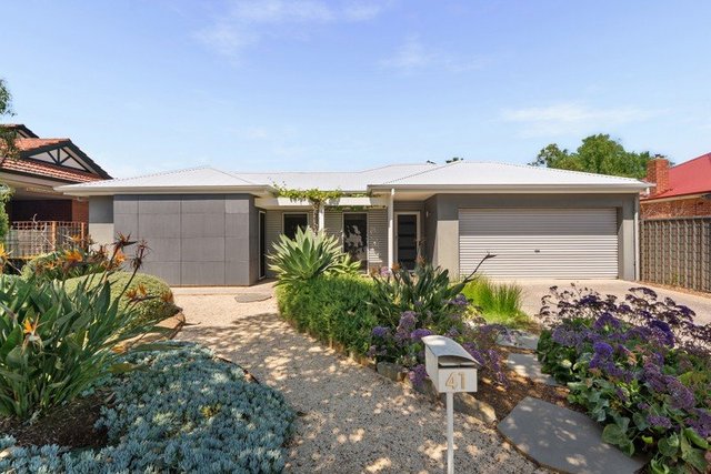 41 Lewis Street, SA 5048