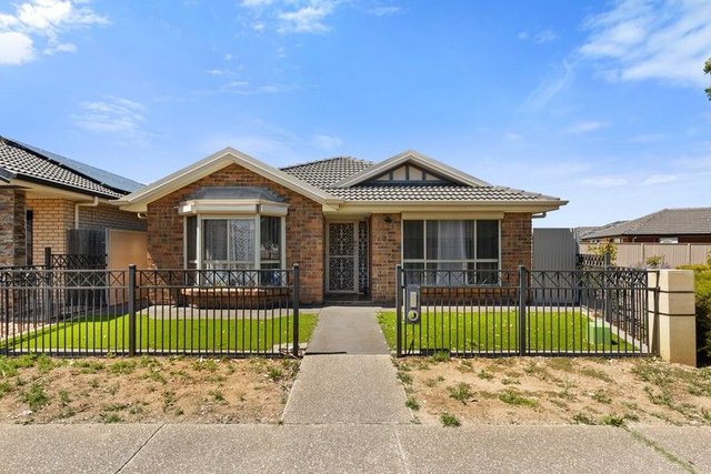 73 The Avenue, SA 5012