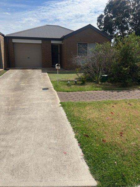 20 Citrus Street, SA 5110