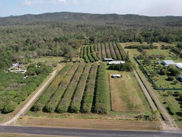 495 Koah Rd, QLD 4881