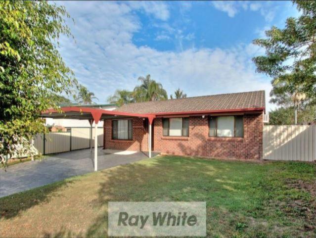 19 Ochna Street, QLD 4132