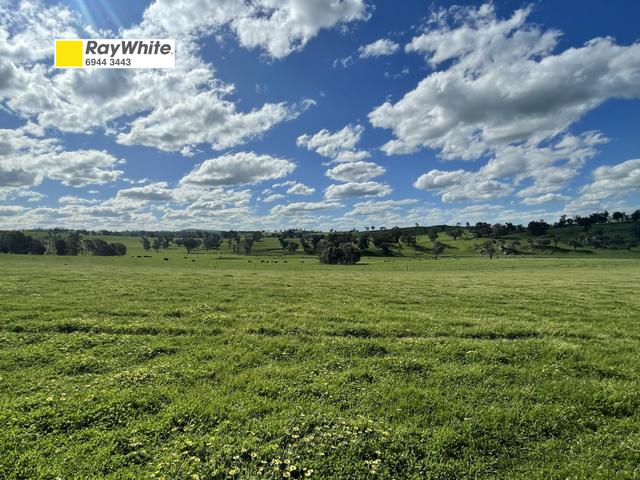 3 Cooney's Creek Road, NSW 2726