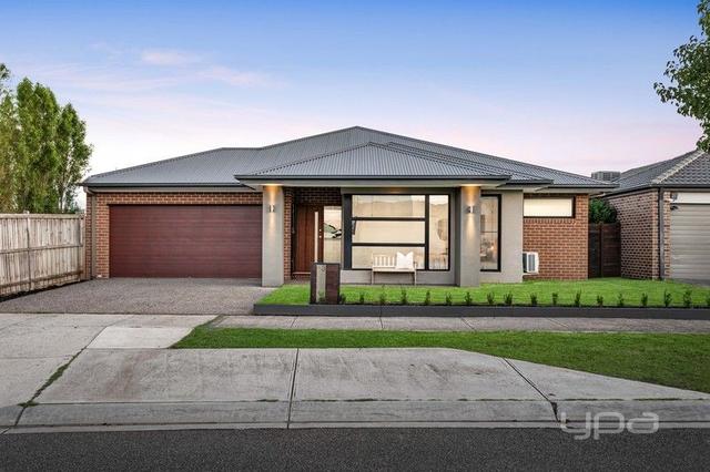 3 Honey Flower Way, VIC 3059