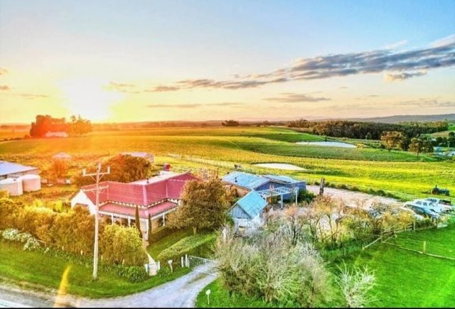 1219 Ballarat Daylesford Road, VIC 3363