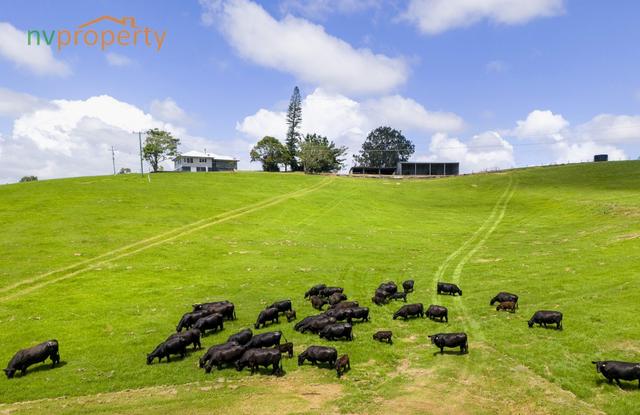 Lot 1, 103 Soldier Settlers Road, NSW 2447