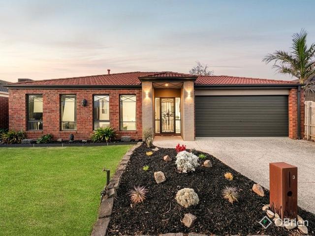 3 Vivi Court, VIC 3977