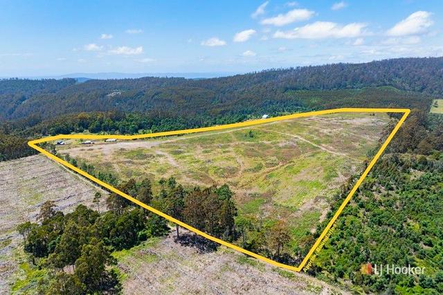 75 Coppermine Road, TAS 7275