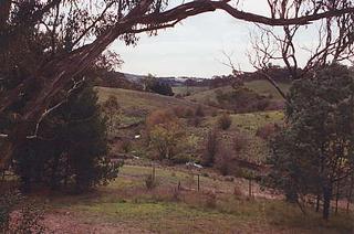 View (2002-04-18)
