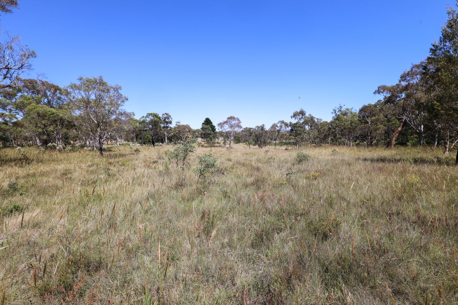 96 Leahys Lane, Lake Bathurst NSW 2580 Allhomes