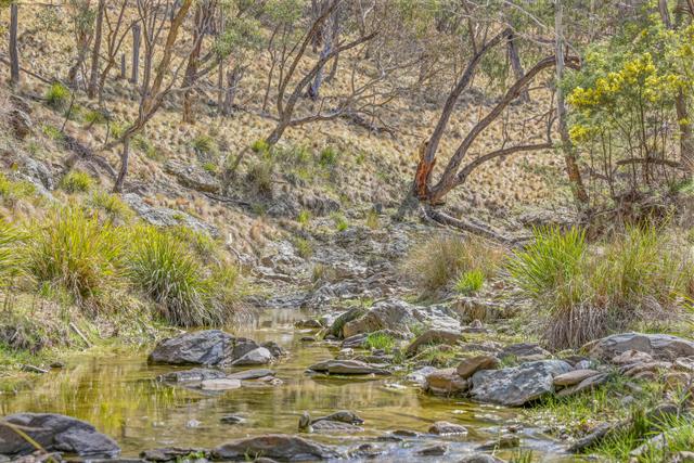 554 Curragh Road, NSW 2795