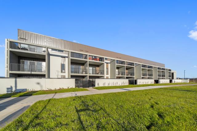 50/6 Inge King Crescent, ACT 2611
