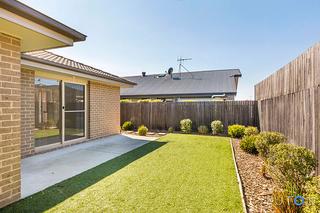 Backyard (2015-09-14)