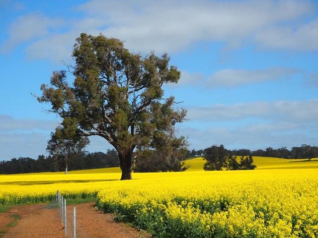 Kilburnie Etna Road, WA 6318