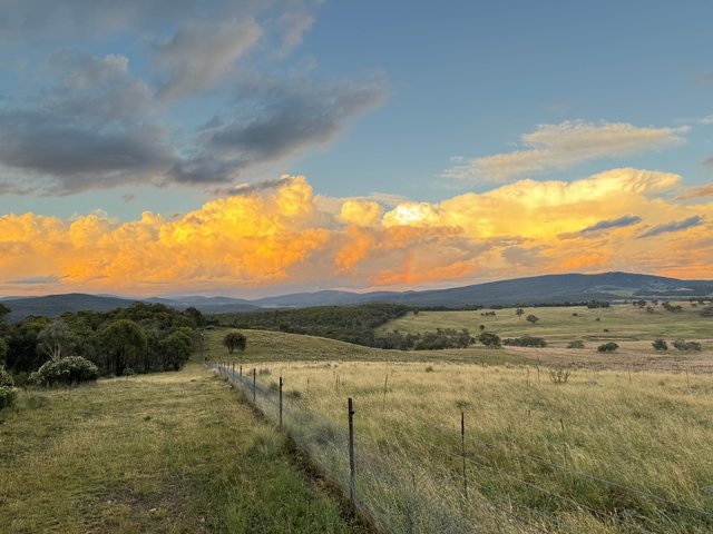 474 Jones Plain Road, NSW 2630