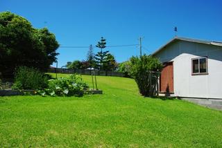 View of Shed