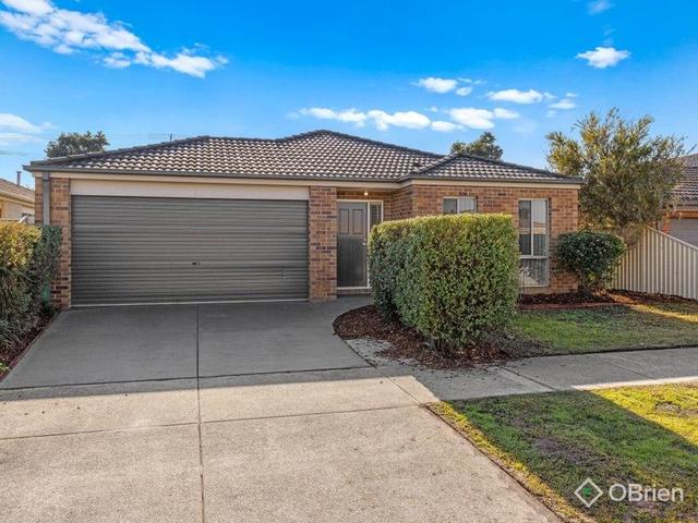 24 Salvia Avenue, VIC 3810