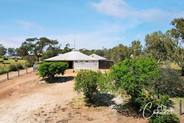 64 Withers Street, WA 6401