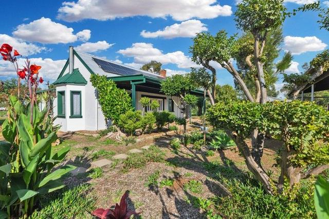 16 Rees Avenue, NSW 2382