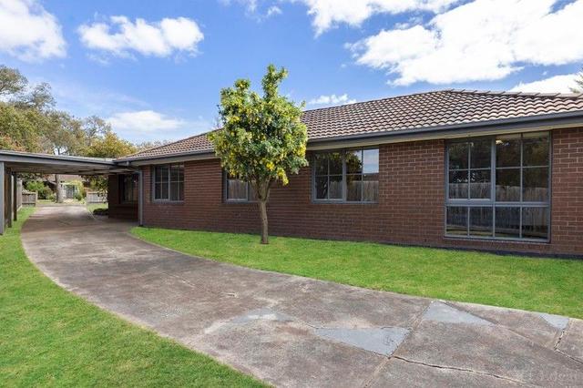 46 Exford Drive, VIC 3931