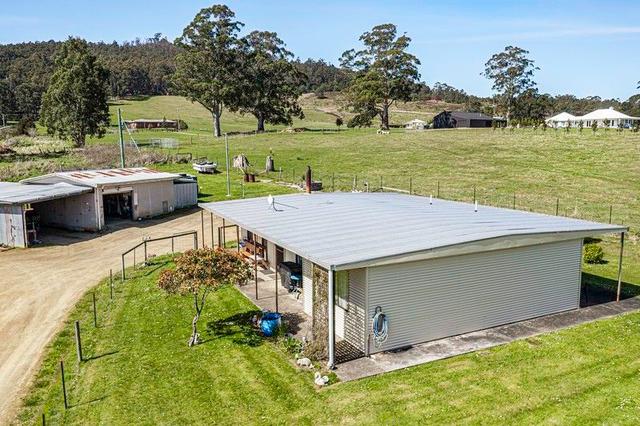 65 Rileys Creek Road, TAS 7116