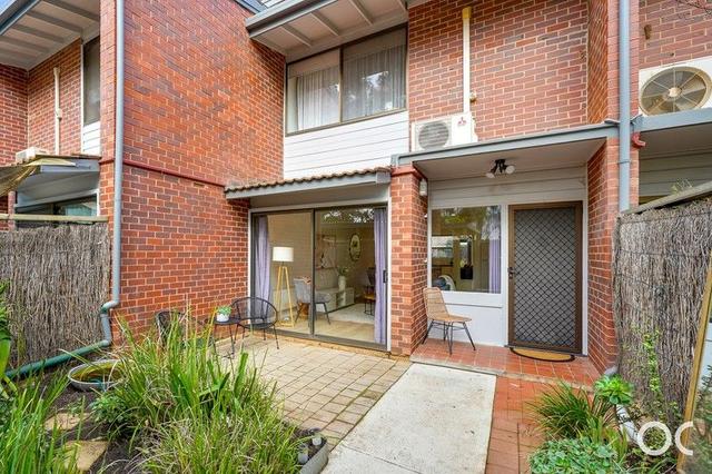 4/60 Warwick Street, SA 5081
