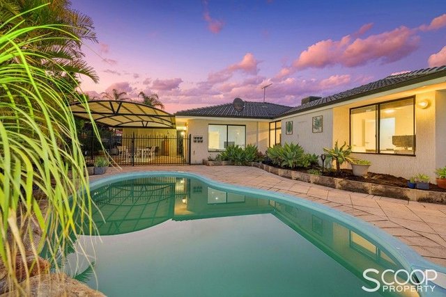 24 Feltbush Mews, WA 6155