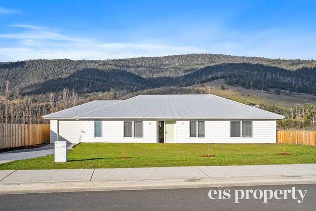 13 Southbridge Place, TAS 7109