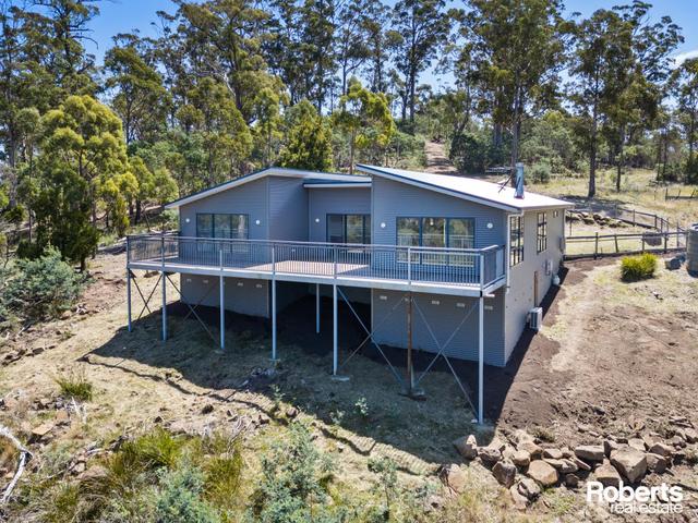 1057 Nugent Road, TAS 7172