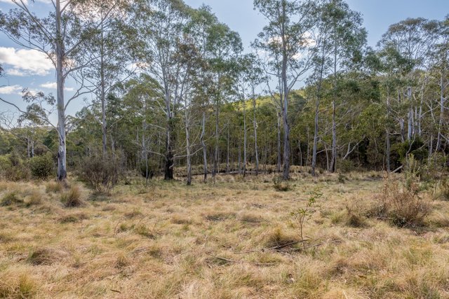 153 Blue Bush Road, NSW 2622