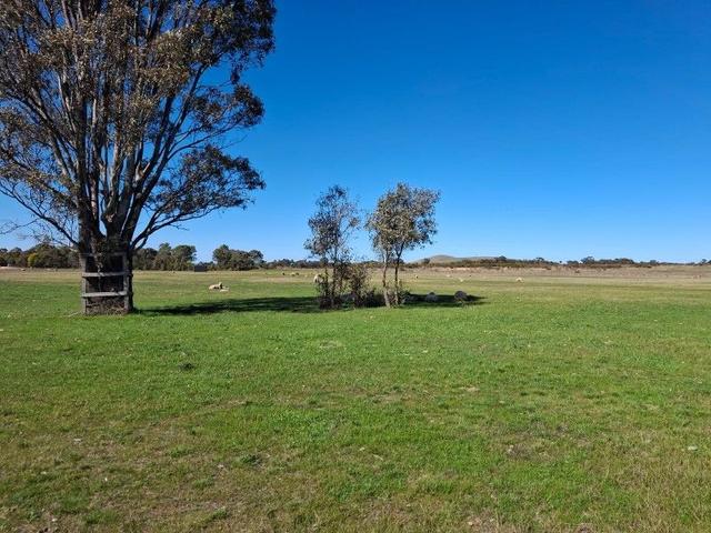 65 Halls Road, VIC 3371