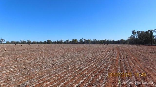 * Kallara, 881 Kallara Road, NSW 2831