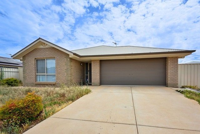 41 McRitchie Crescent, SA 5608