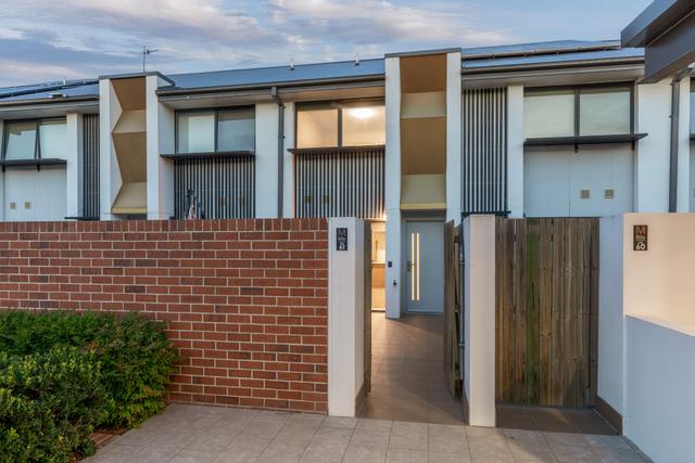 61/36 Dulcie Holland Crescent, ACT 2914