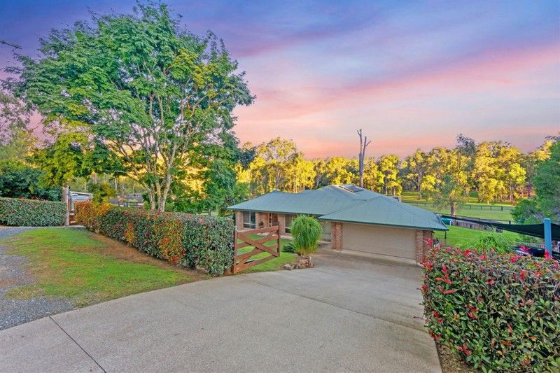 97105 Palomino Road, Tamborine QLD 4270 Allhomes