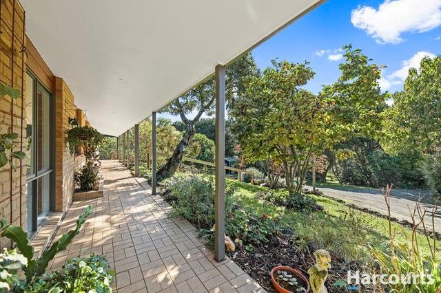 205 Harveys Road, VIC 3953