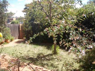Frontyard