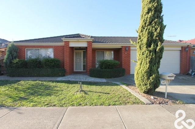 50 Darius Terrace, VIC 3752