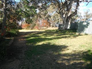 Backyard to Reserve