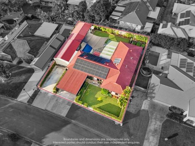 66 Conebush Circuit, QLD 4208