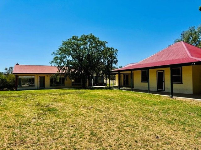 415 Davys Plains Road, NSW 2864