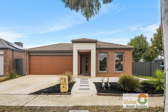 109 Nelson Street, VIC 3977