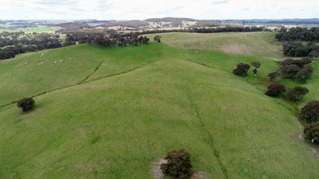 680 Kangaloolah Road, NSW 2583