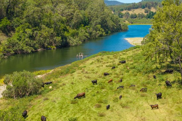 1436 Gowings Hill Road, NSW 2440