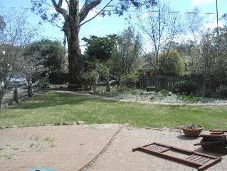Backyard (2003-09-23)