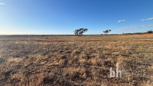 Lot 2/null Sturt Highway, SA 5356