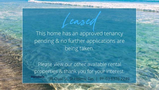 3/71 Cecilia Street, TAS 7216