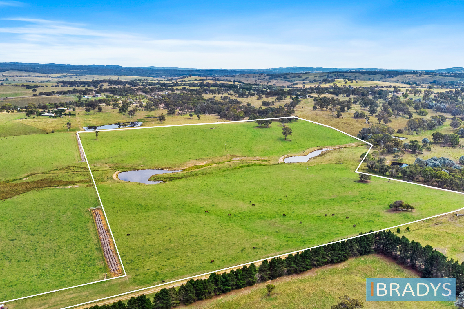 4348 Gundaroo Road, Gundaroo NSW 2620 Allhomes