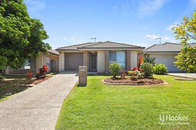 81 Surround Street, QLD 4503