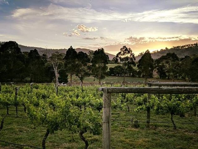 92 Backhouse Lane, TAS 7170